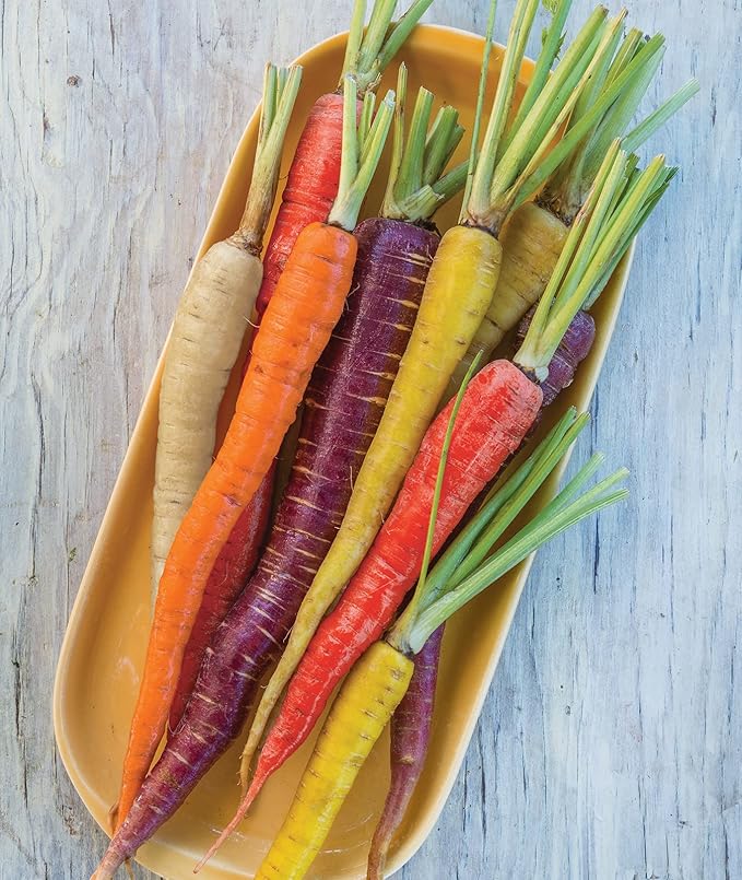 Rainbow Blend Carrot Vegetable Seeds for Planting