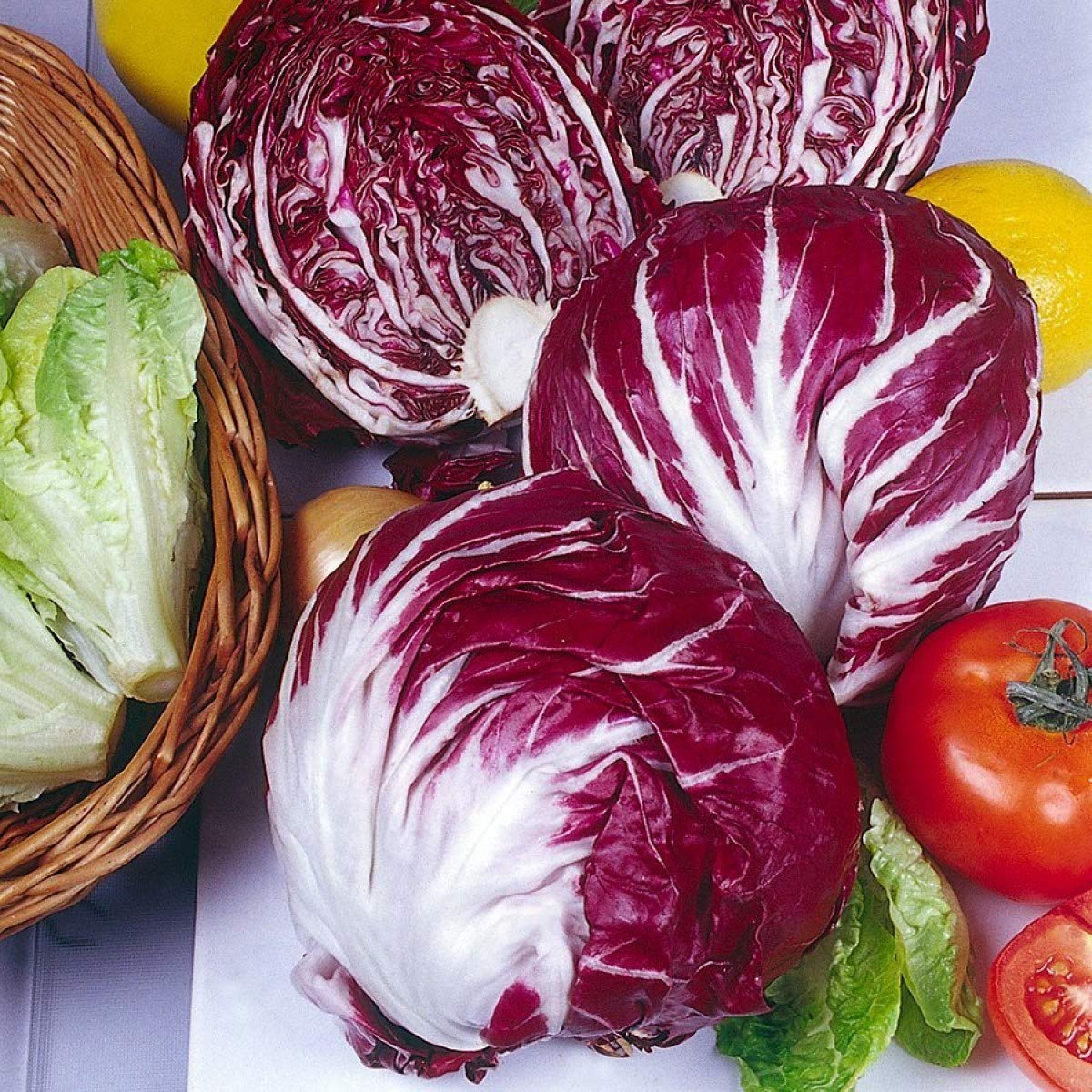 Radicchio Vegetable Seeds for Planting