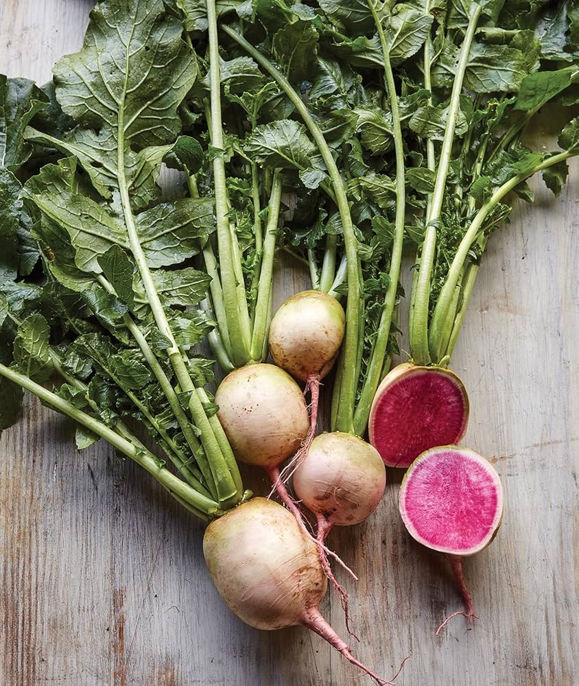 Watermelon Radish Raphanus sativus Seeds for Planting vegetable patch salad bed