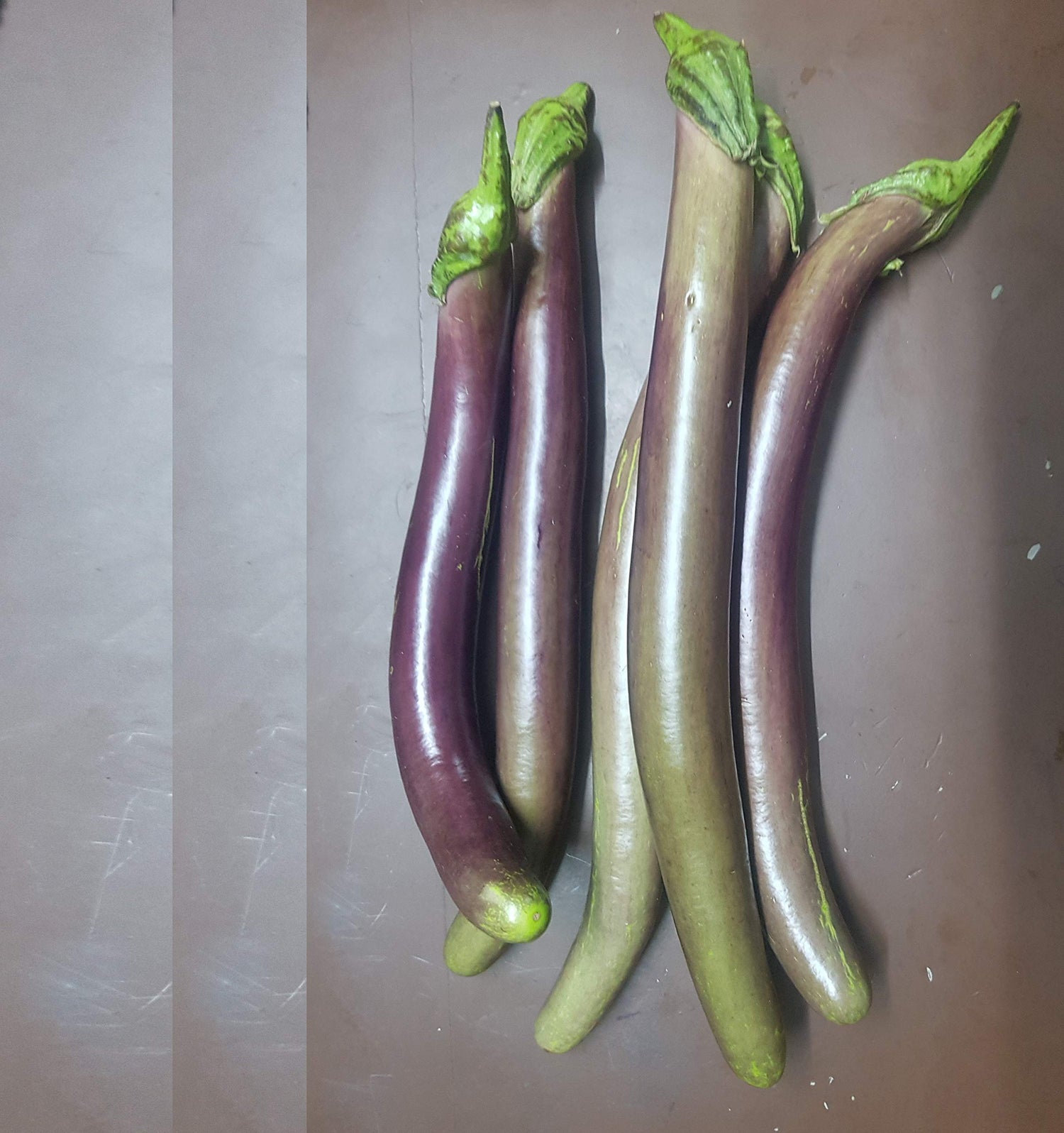 Brinjal Long Hybrid – Heirloom, Non-GMO, High Germination Organic Garden Seeds