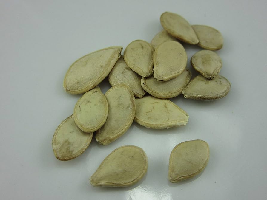 Mini Bottle Gourd Lagenaria siceraria vegetable seeds for kitchen garden and vertical gardening