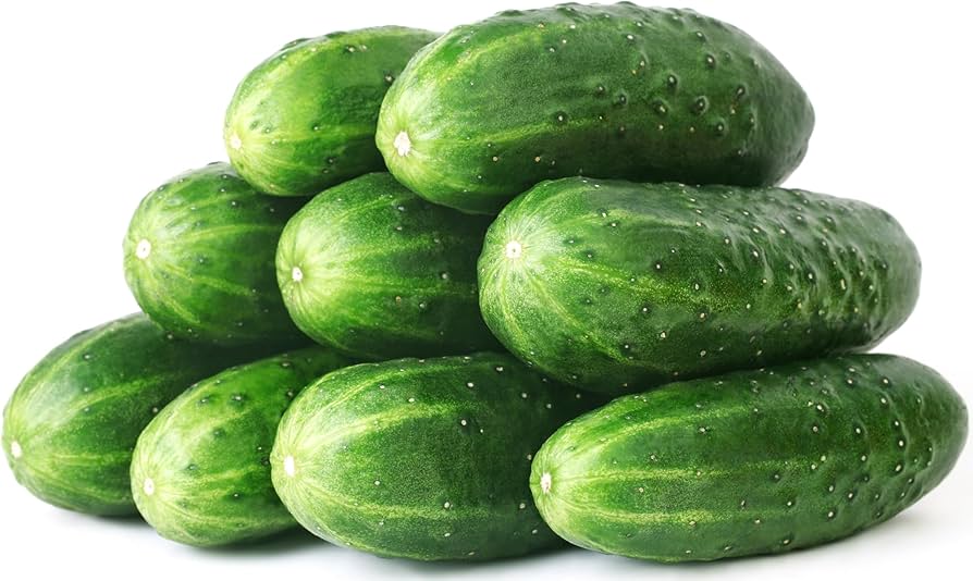 Straight Eight Cucumber Vegetable Seeds for Planting