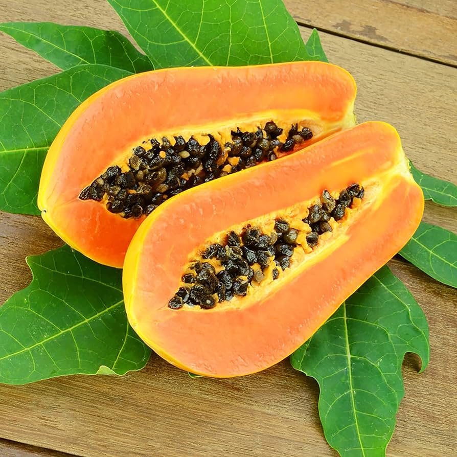 Dwarf Waimanalo Papaya for planting