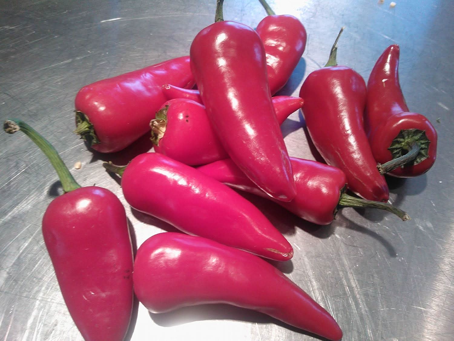 Pink chili Capsicum annuum seeds for planting in home garden