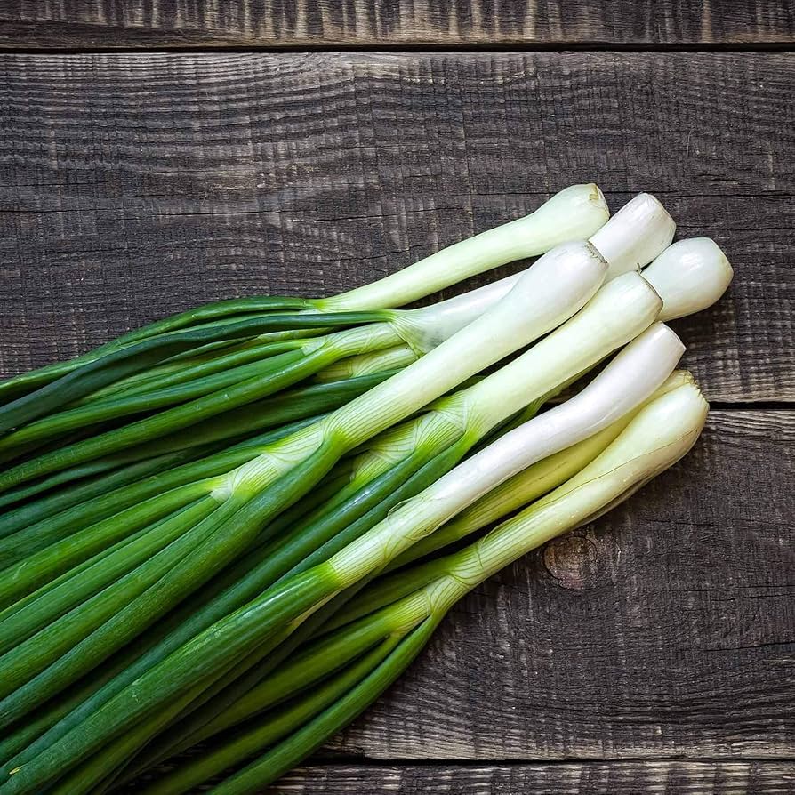 Onion Allium Fistulosum Hardy White Bunching Vegetable Seeds for Planting – NB18 Variety for Containers and Garden Rows