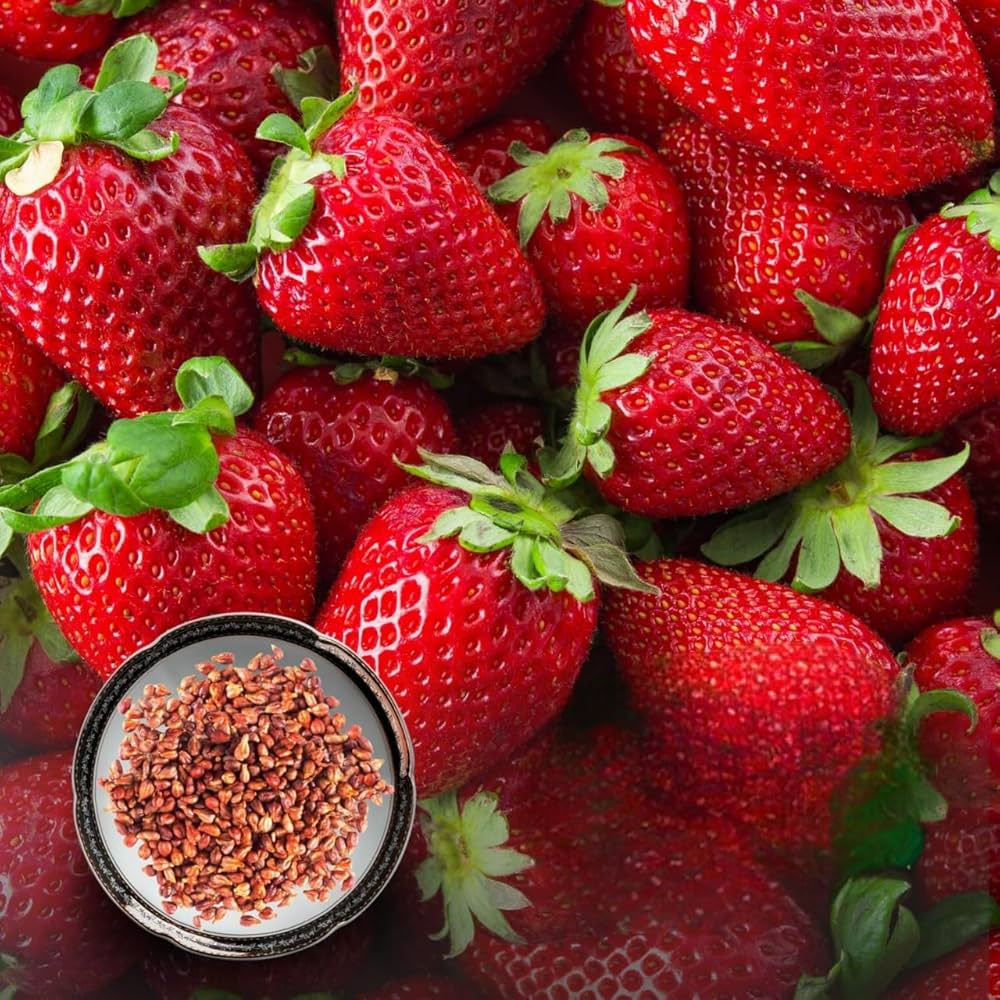 mini strawberry plants growing in pots or garden beds


