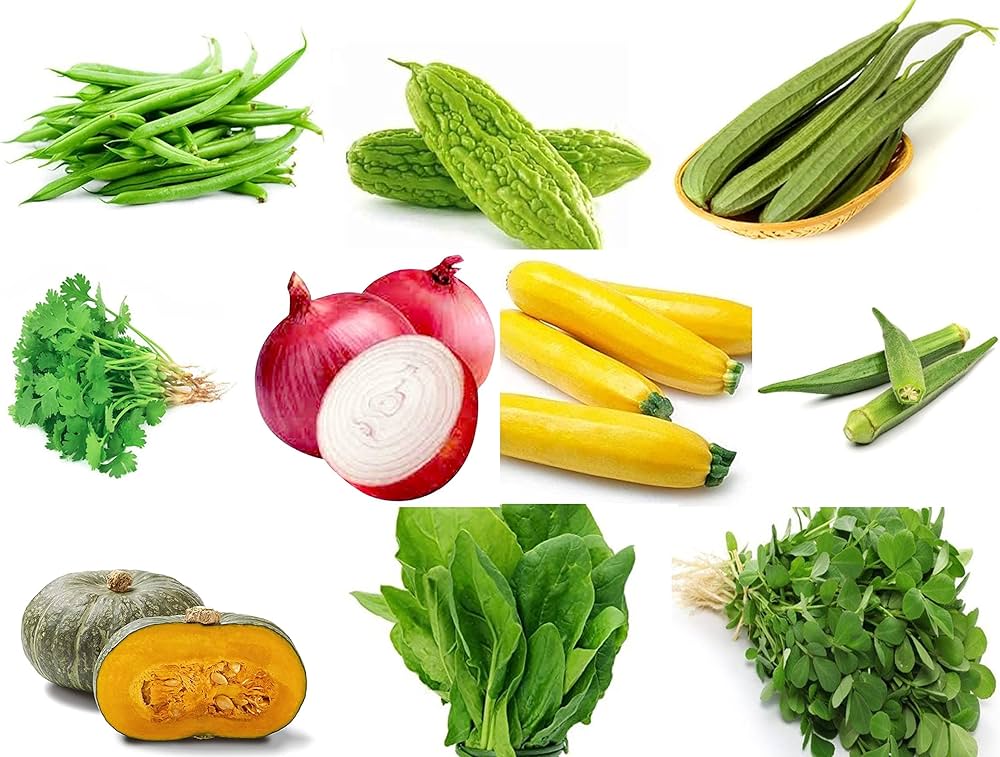 Mixed Vegetable Seeds Non-GMO Seeds for Planting Vegetable Patch Urban Farm