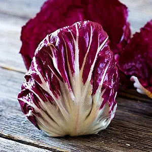 Radicchio Cichorium intybus Rossa di Treviso vegetable seeds for planting in kitchen garden rows