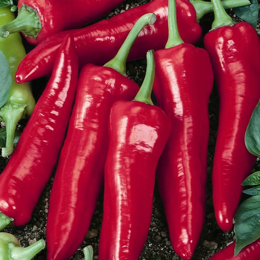Big Jim Organic Heirloom Chili Pepper Seeds