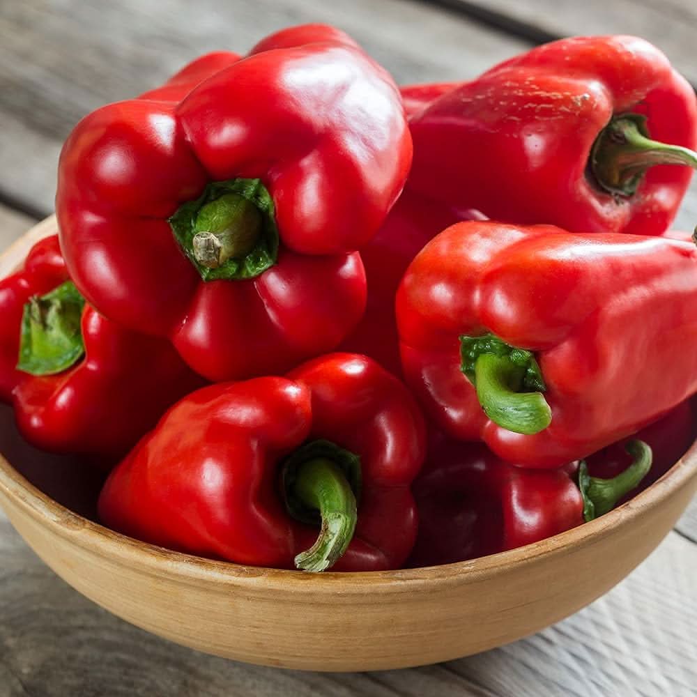 California Wonder Pepper Capsicum annuum vegetable seeds for kitchen garden and pots