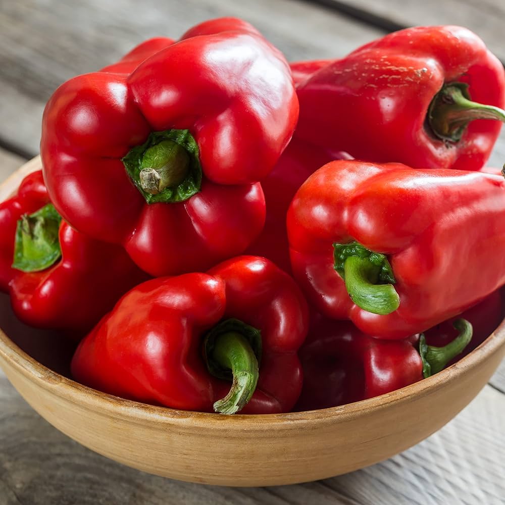 Ajito Pepper Capsicum spp Vegetable Seeds for Planting in Vegetable Patch and Garden