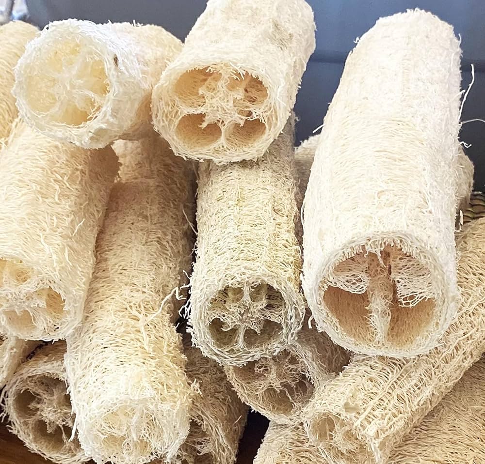 Loofah Sigua Seeds pcs for Growing Natural Sponges