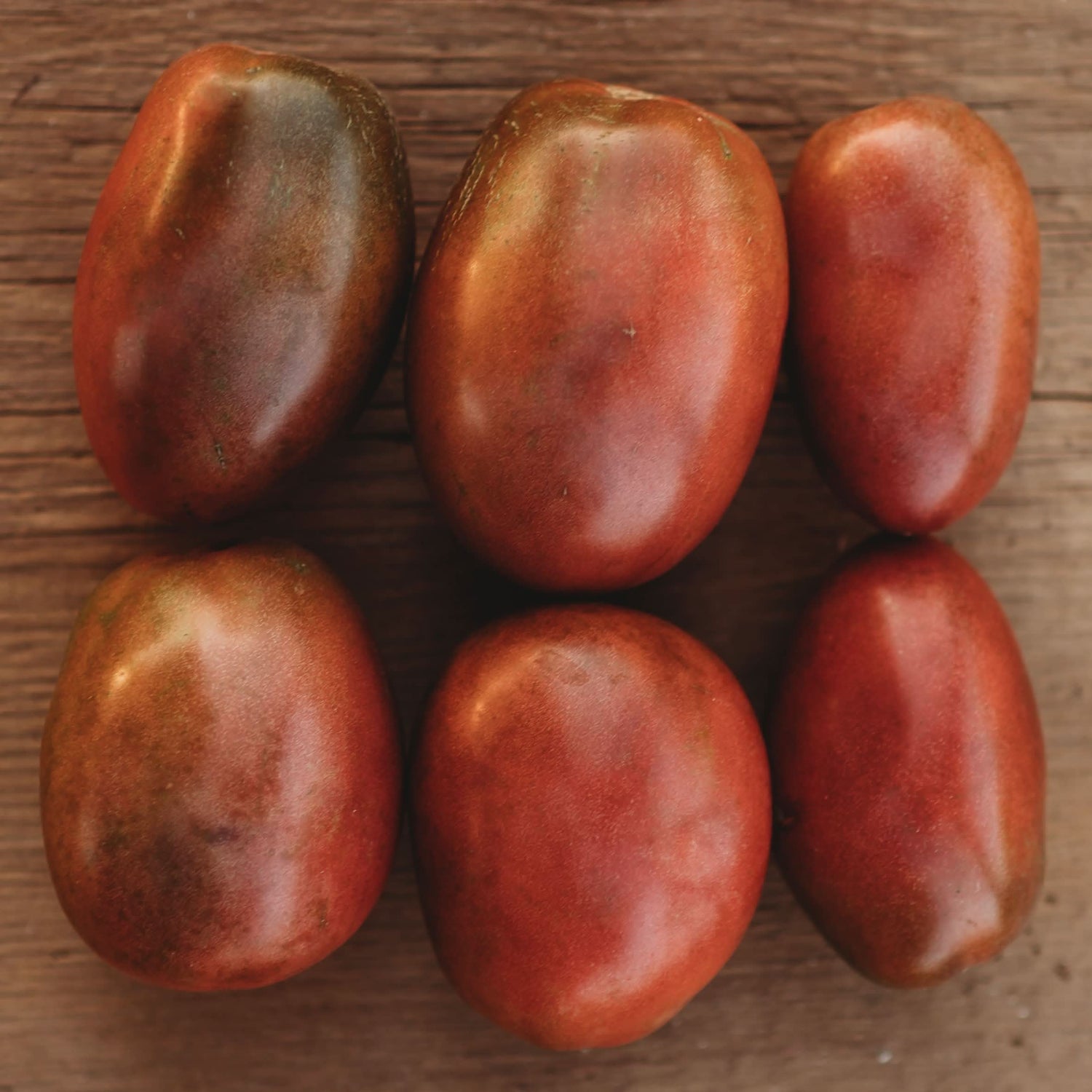 Ukraine Purple and Red Tomato Seeds