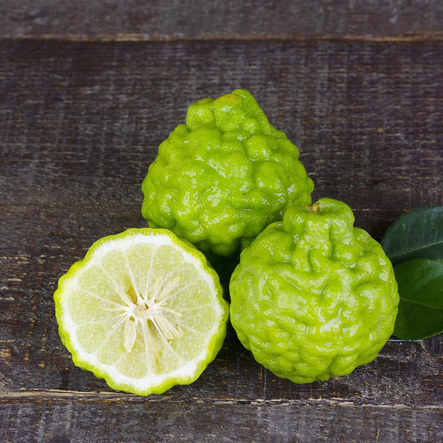 Bergamot Orange Seeds