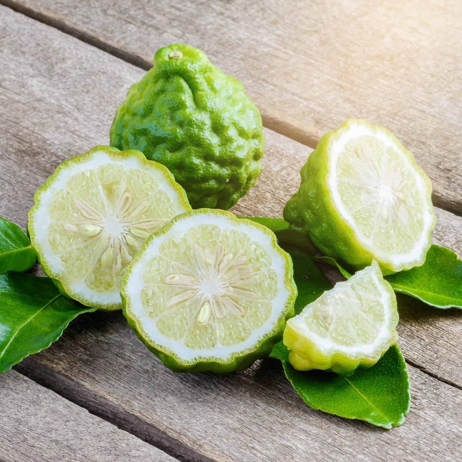 Bergamot Orange Seeds