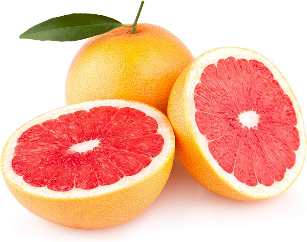 Grapefruit Citrus paradisi Fruit Seeds for Planting