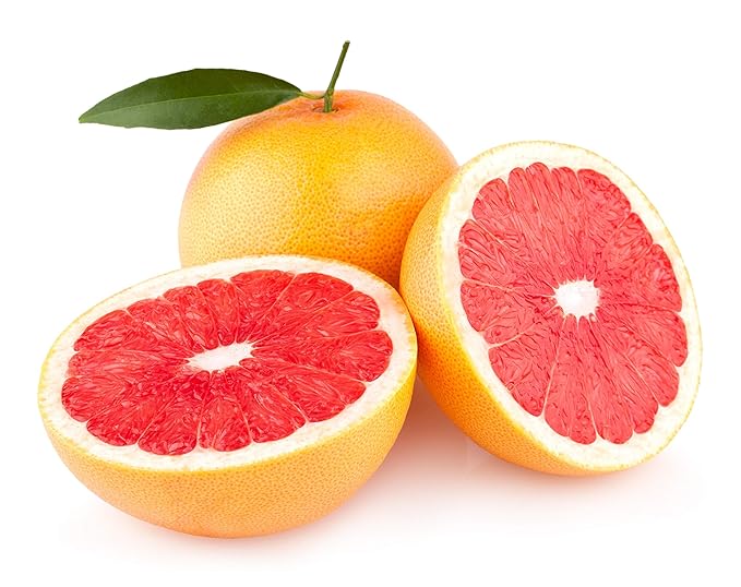 Grape Fruit Citrus x paradisi for planting in urban garden and home garden