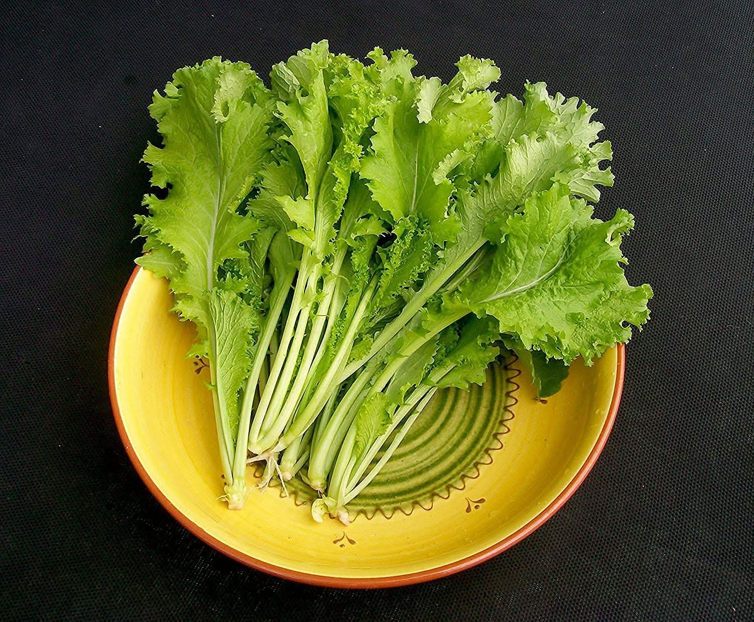 Southern Giant Curled Mustard Heirloom Plant Seeds