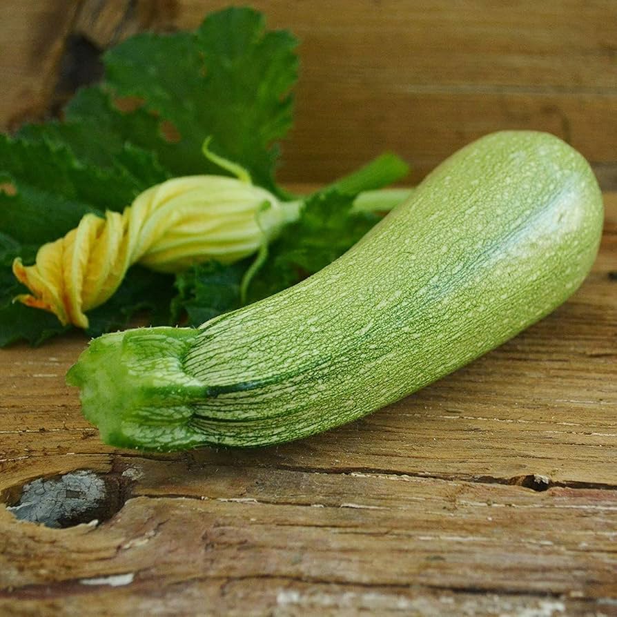 Grey Zucchini Squash Seeds for Planting Organic Non-GMO Vegetable Garden