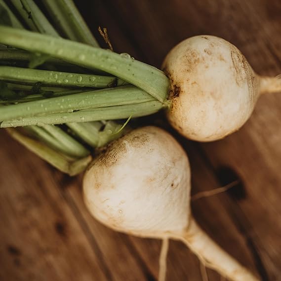 Turnip Brassica rapa White Egg heirloom vegetable seeds for planting in kitchen garden or raised beds