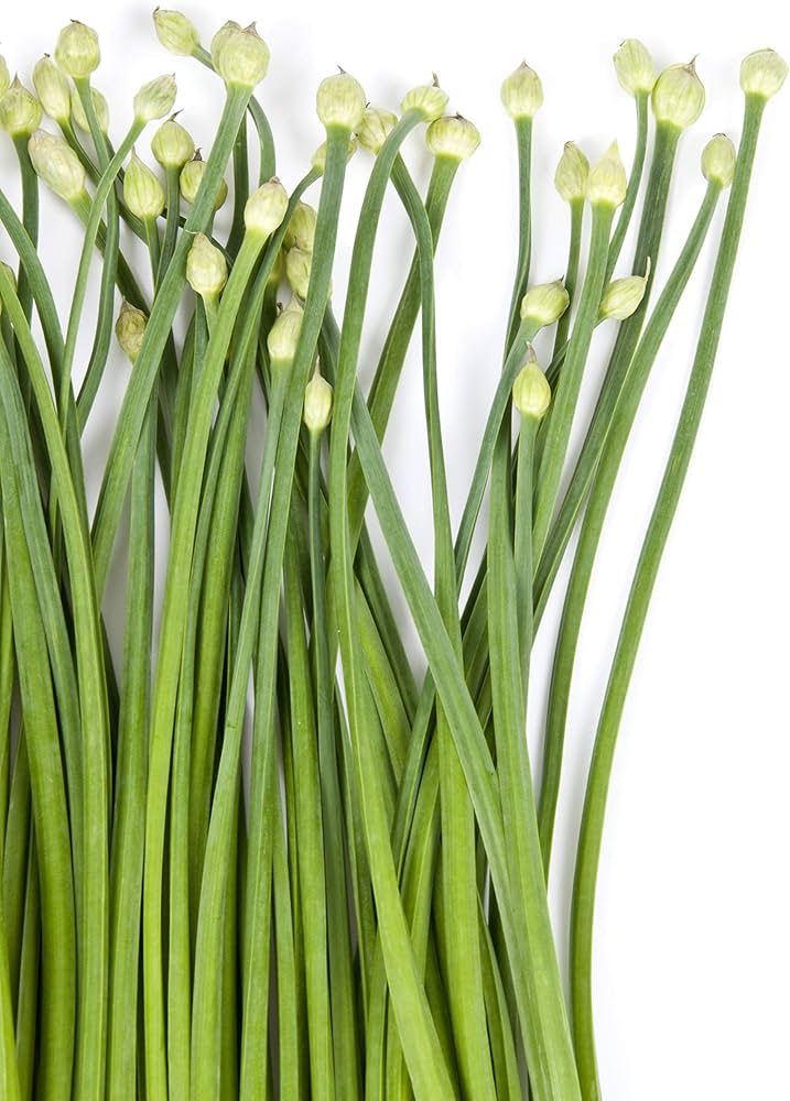 Heirloom Herb Chives Seeds