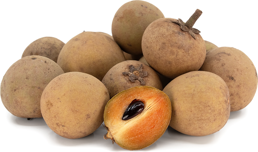 Sapodilla – Sweet and Nutritious Tropical Fruit