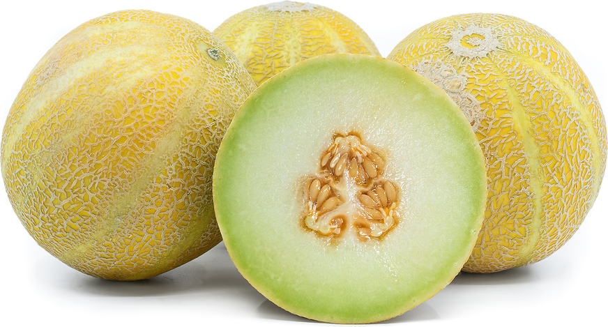 Lemon Drop Melon (Cucumis melo)