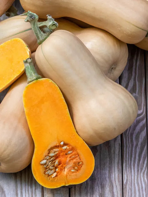 Squash (Winter) Seeds - Waltham Butternut