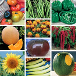 Favorites Seed Collection Classic Garden High Germination Garden Seeds heirloom non-gmo seeds