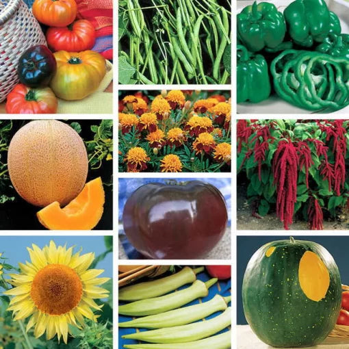 Favorites Seed Collection Classic Garden High Germination Garden Seeds heirloom non-gmo seeds