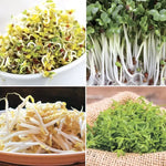 Sprouting Seeds Collection High Germination Garden Seeds heirloom non-gmo seeds