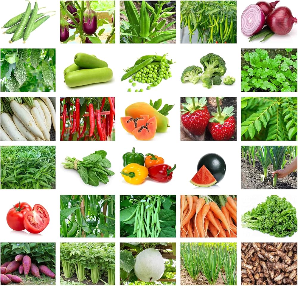 Salad Garden vegetable seed pack