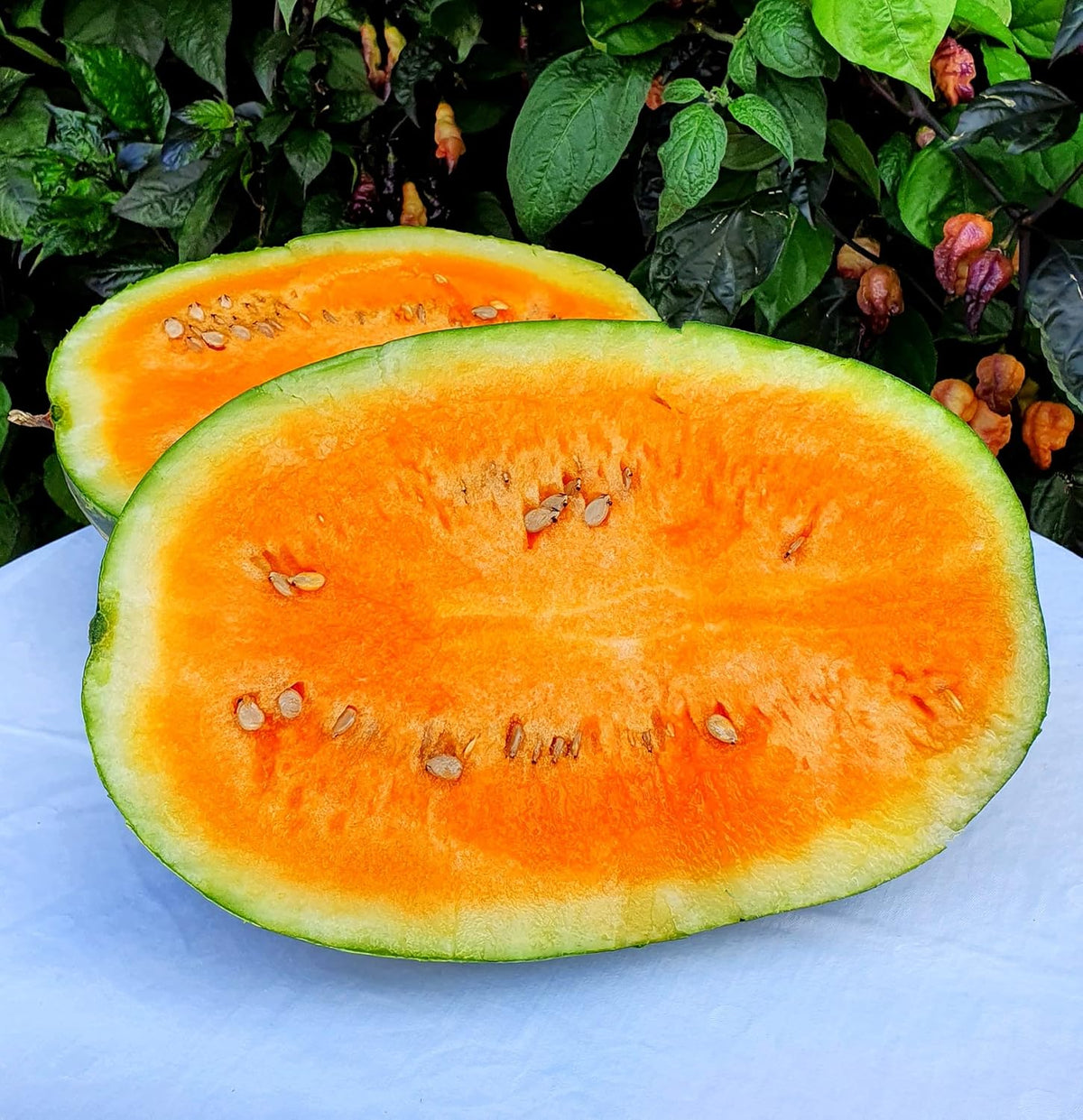 Watermelon Fruit Orange Heirloom Non Gmo Image