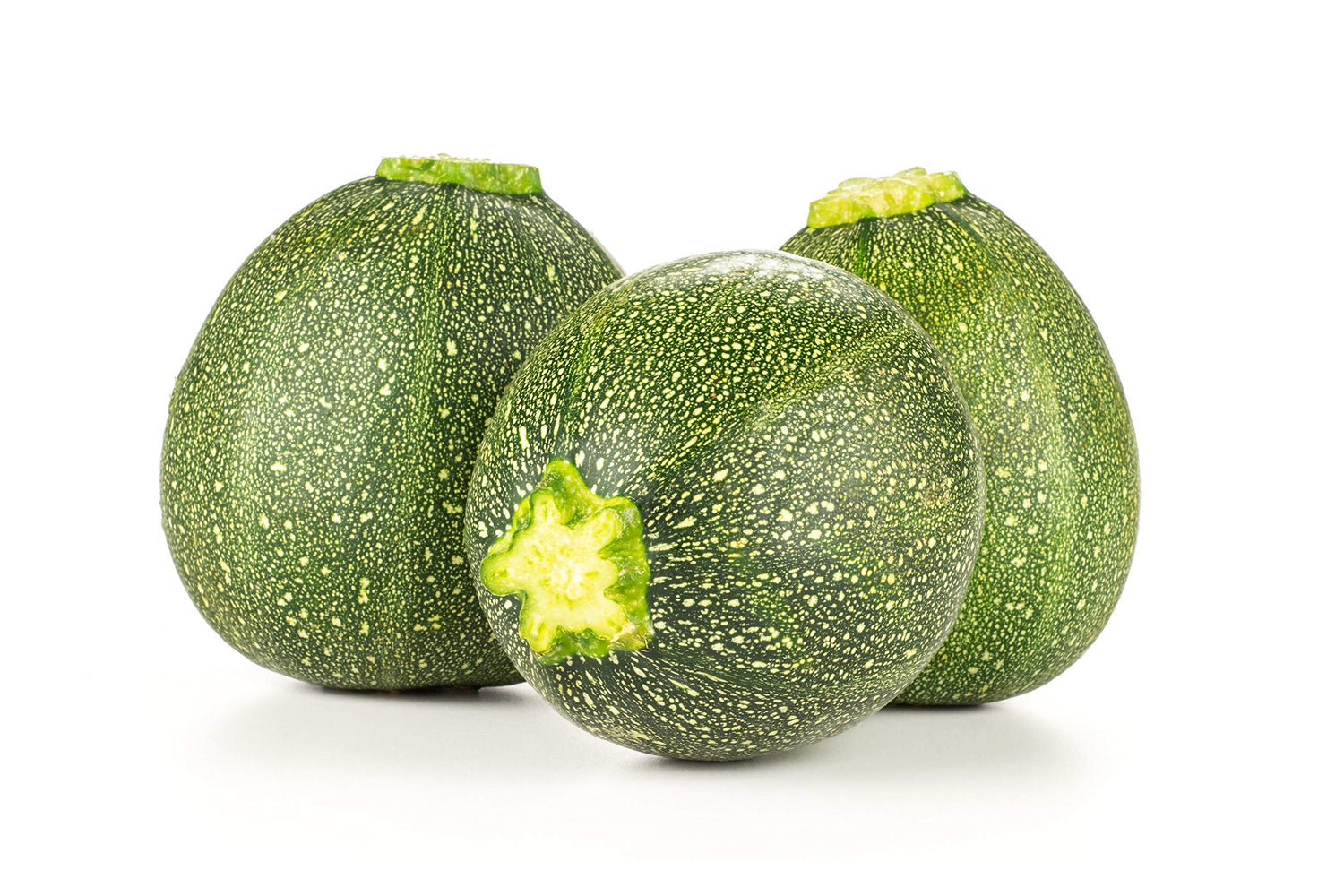 Squash Cucurbita Pepo Zucchini Round Summer Vegetable Seeds for Planting – Great for Kitchen Garden and Fresh Cooking