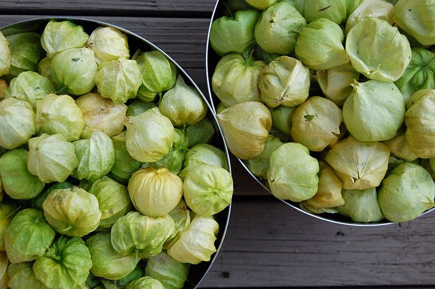 Tomatillo Physalis Philadelphica Organic Heirloom Toma Verde Vegetable Seeds for Planting – Suitable for Salsa and Garden Harvest