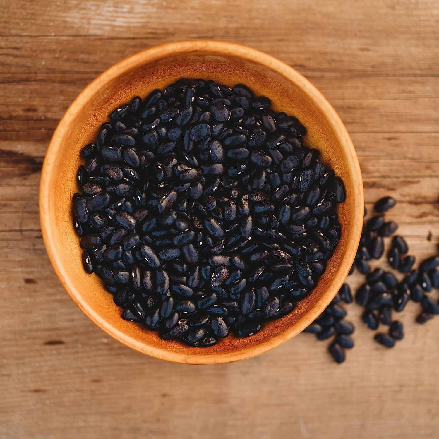 Bean Phaseolus Vulgaris Cherokee Black Vegetable Seeds for Planting – Heirloom Variety for Kitchen Garden and Traditional Dishes