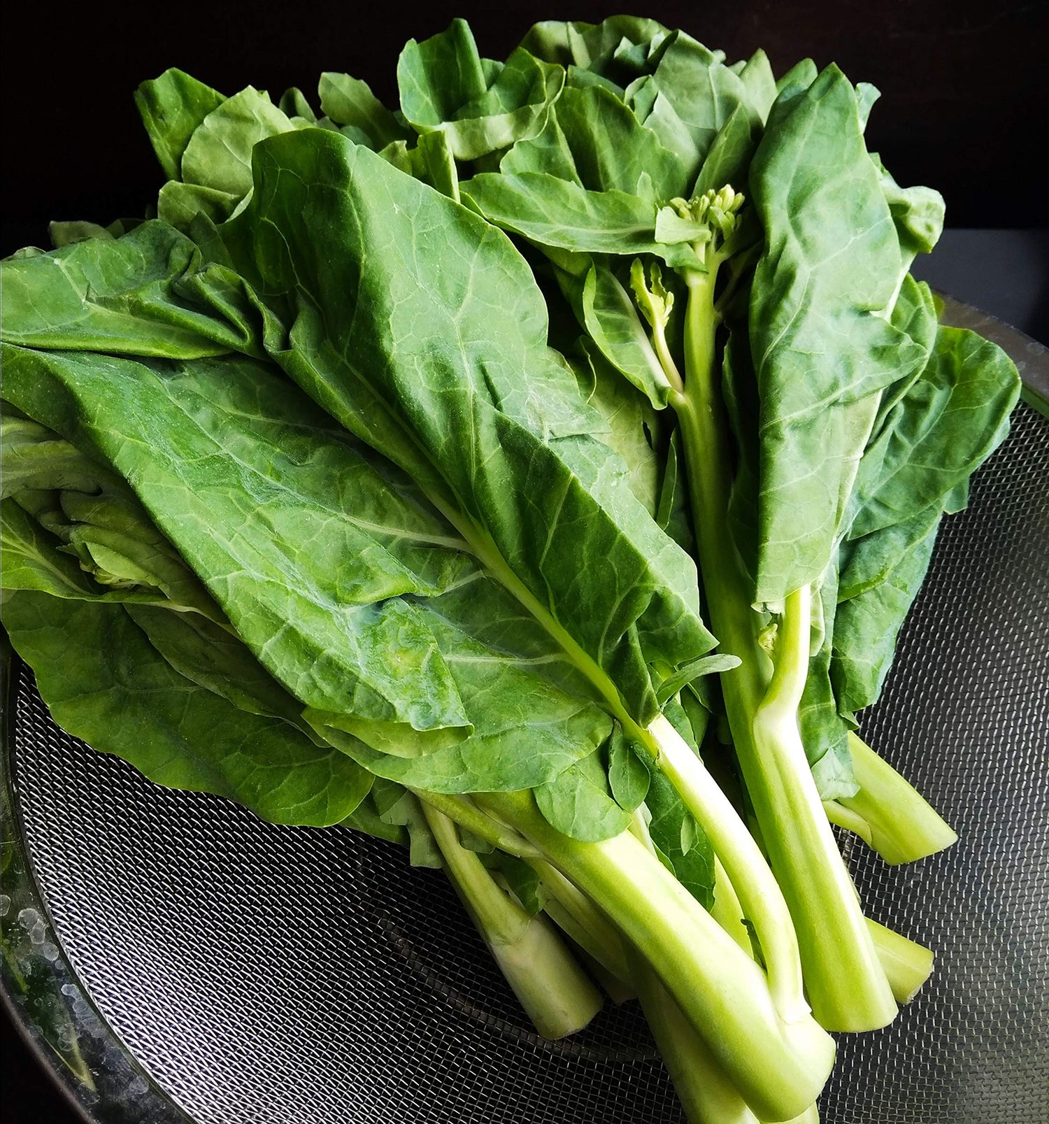 Kai Lan Gai Lan Seeds for Planting heirloom & Non-GMO Seeds