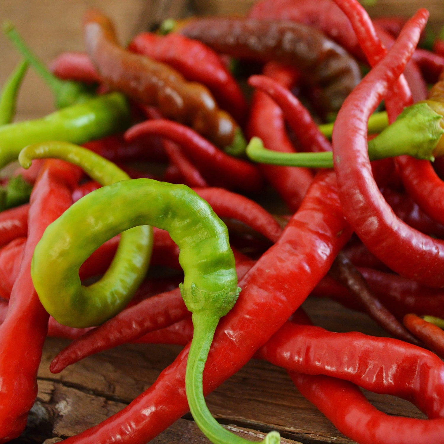 Pepper Capsicum Annuum Aci Sivri Hot Vegetable Seeds for Planting – Ideal for Kitchen Garden and Spicy Harvest