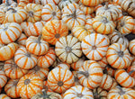Lil' Pump Ke Mo Pumpkin for planting in vegetable patch