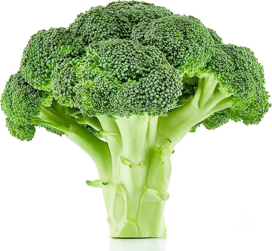 Broccoli Waltham 29 Seeds for Planting Nutritious Home Garden Vegetable