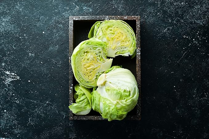 Lettuce Lactuca sativa Iceberg vegetable seeds for planting in kitchen garden or backyard raised beds