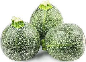 Round Zucchini for planting