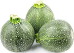 Round Zucchini for planting
