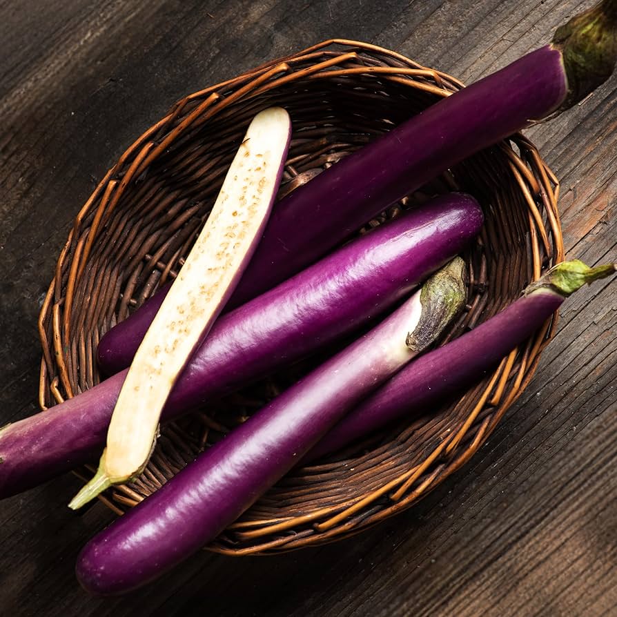 Comet Purple Hybrid Eggplant Seeds | Smooth Glossy Deep-Purple Eggplants – Heirloom, Non-GMO, High Germination Organic Garden Seeds
