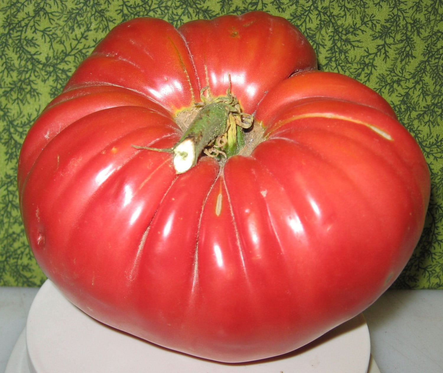 Red Giant Tomato Solanum lycopersicum vegetable seeds for backyard gardening