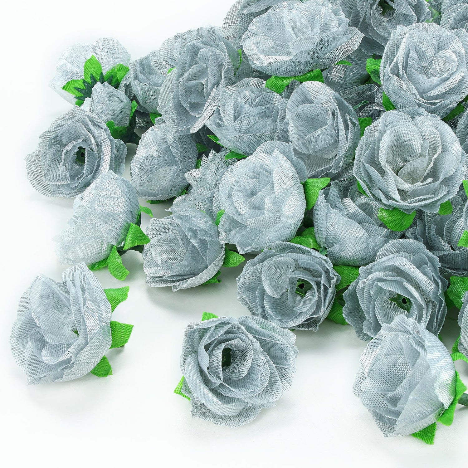 Silver Rose Flower Seeds for Planting
