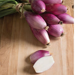 fresh red onions arranged for culinary use

