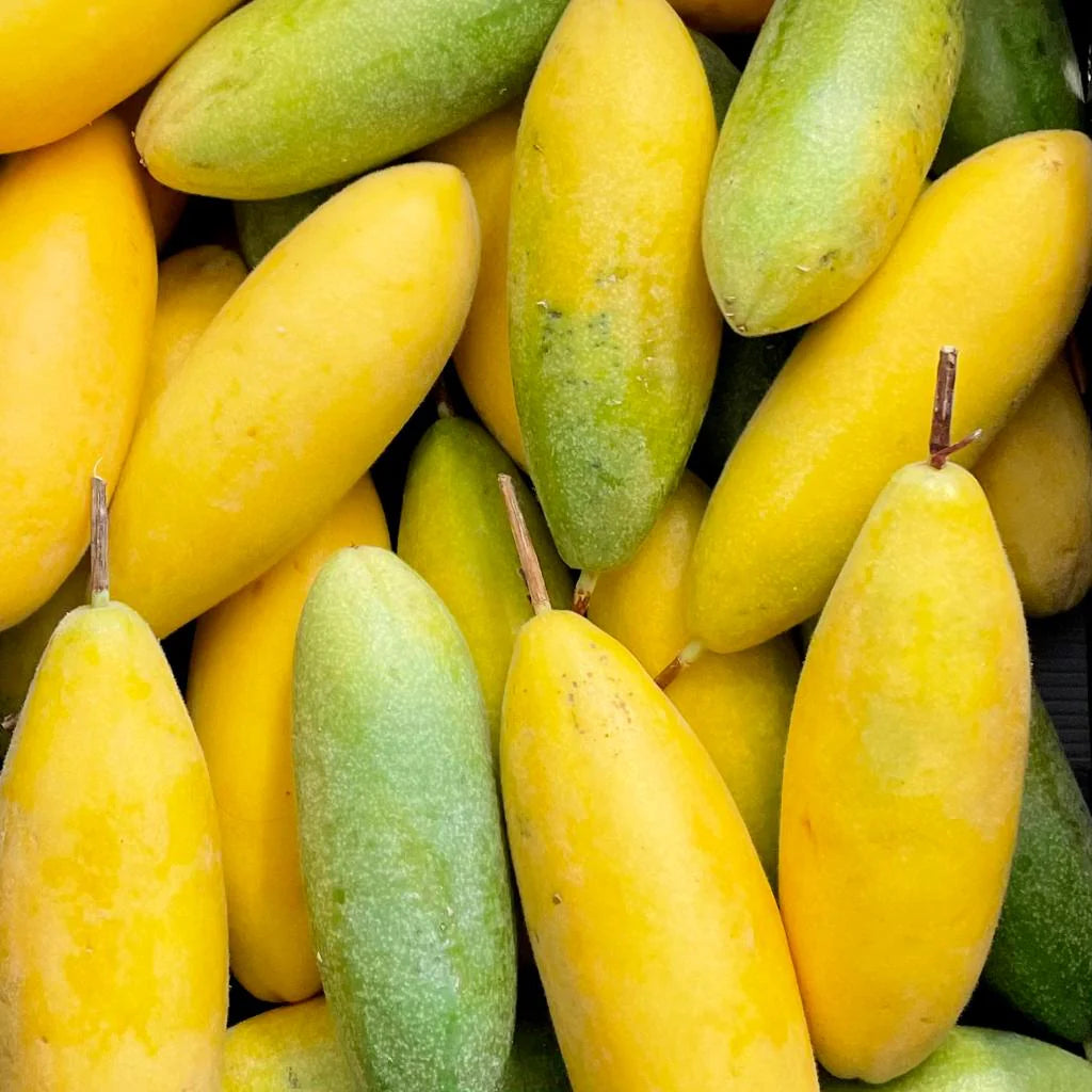 Curuba Fruit Seed Set for Unique, Tangy Fruit Production
