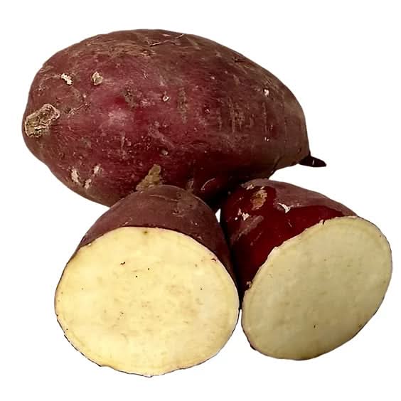 Japanese Sweet Potato Ipomoea batatas pink for planting in urban garden