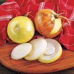 Texas Super Sweet Onion Seeds High Germination Garden Seeds heirloom non-gmo seeds